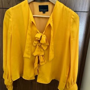 Cynthia Rowley Silk Tie Front and Sleeve Blouse in Golden